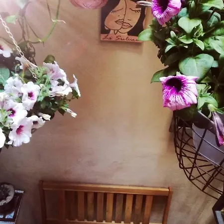 Couette-café Li Suluri 2*